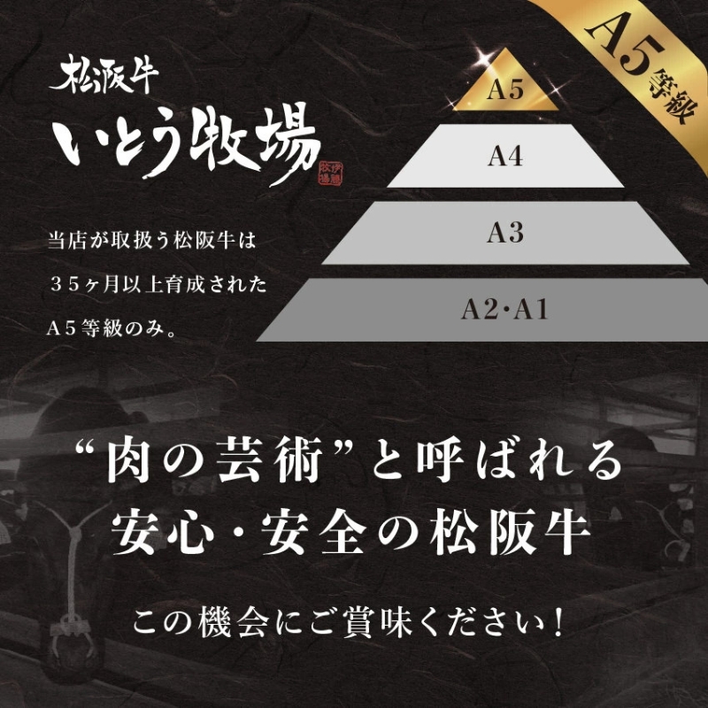 A5等級 松阪牛 サーロインステーキ 2枚 400g