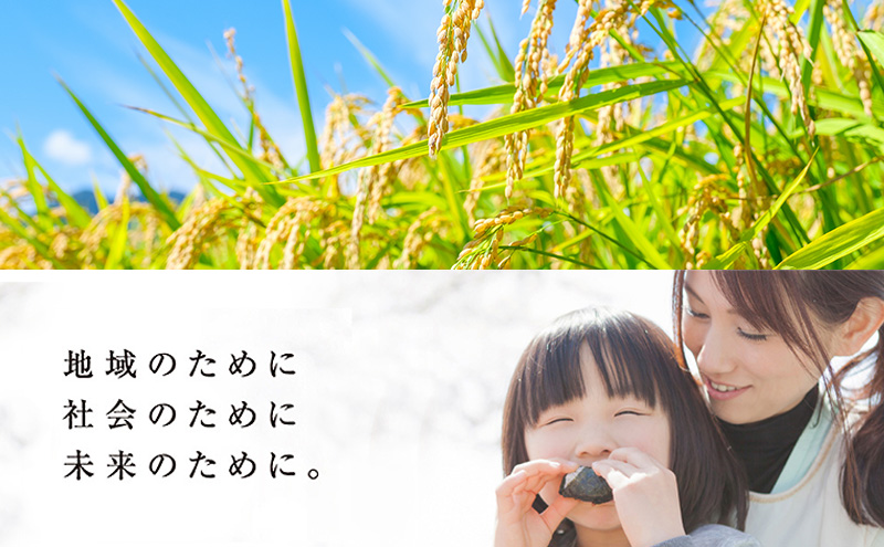 三重県津市産 至福の一杯 5kg　米 お米 ご飯 飯 白米 精米 津市 三重県