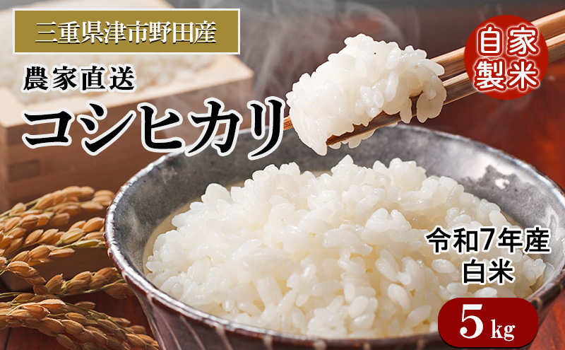三重県津市産　コシヒカリ　５kg | 精米 白米 ご飯 津市 三重県
