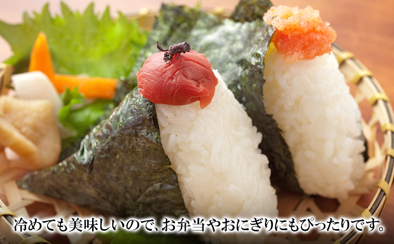 三重県津市産　コシヒカリ　５kg | 精米 白米 ご飯 津市 三重県