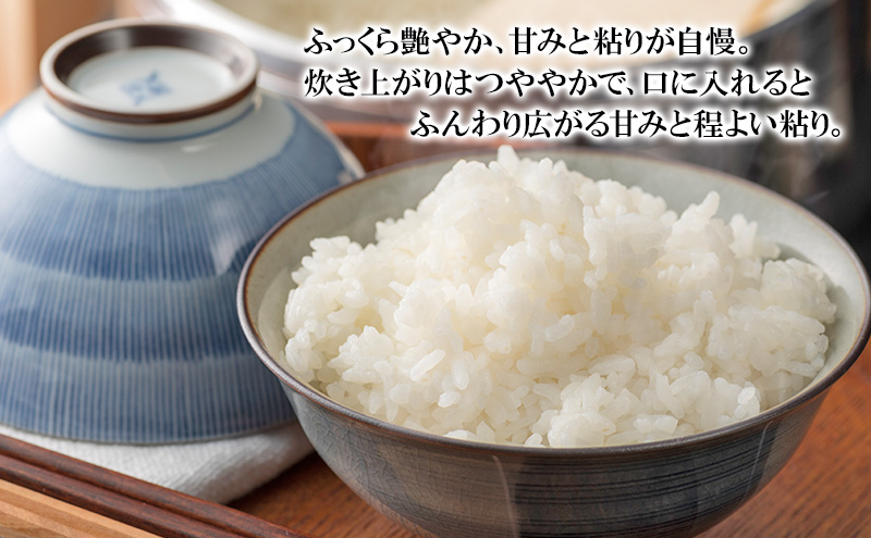 三重県津市産　コシヒカリ　10kg | 精米 白米 ご飯 津市 三重県