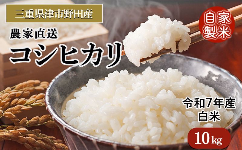 三重県津市産　コシヒカリ　10kg | 精米 白米 ご飯 津市 三重県