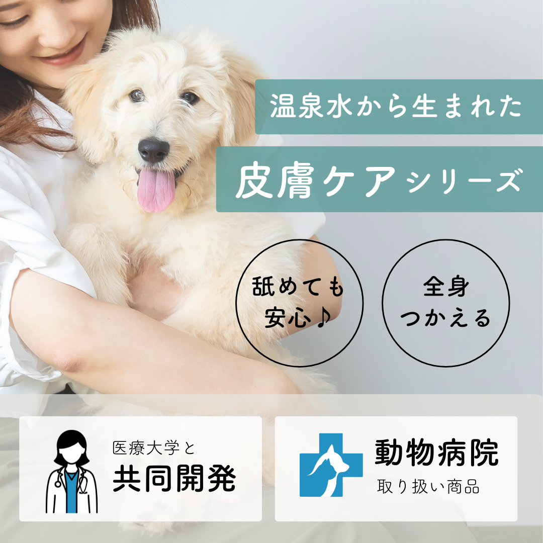 犬 猫 ペット かゆみ CARESUIジェル 150g 1本 | ジェル ケアスイ 動物 温泉水 榊原温泉 濃縮温泉水 無香料 舐めてもOK 優しい 痒み 乾燥 保湿 肉球 皮膚 被毛 毛ツヤ フケ 皮膚トラブル 涙やけ 目ヤニ 消毒液 ひび割れ 赤み
