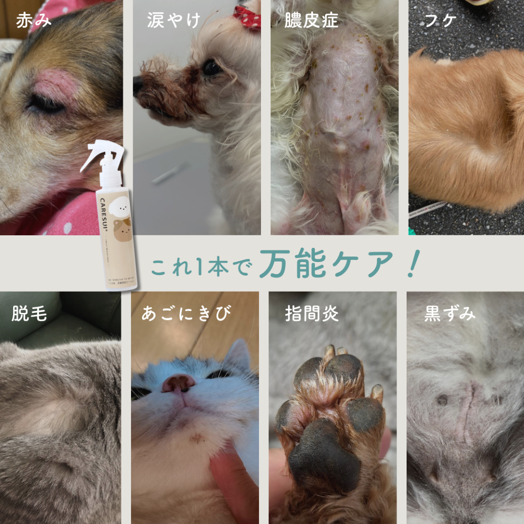 犬 猫 ペット かゆみ CARESUIジェル 150g 1本 | ジェル ケアスイ 動物 温泉水 榊原温泉 濃縮温泉水 無香料 舐めてもOK 優しい 痒み 乾燥 保湿 肉球 皮膚 被毛 毛ツヤ フケ 皮膚トラブル 涙やけ 目ヤニ 消毒液 ひび割れ 赤み