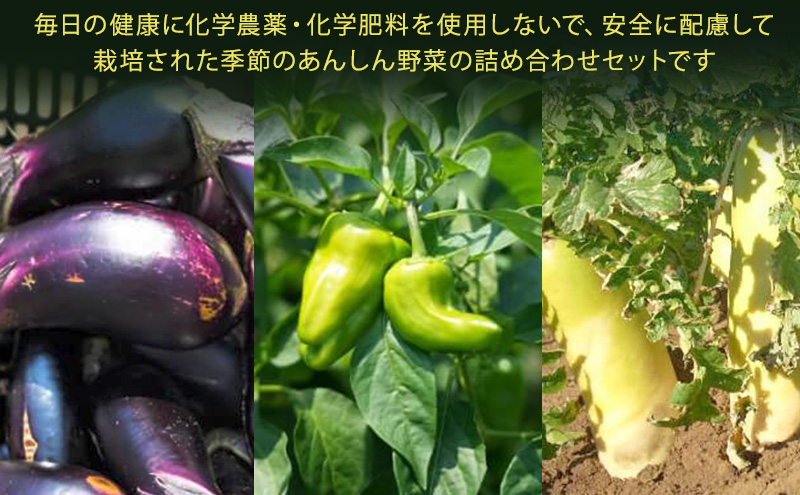 はまちゃん農園・季節のあんしん野菜 6品目セット | 三重県 津市産 こだわり野菜