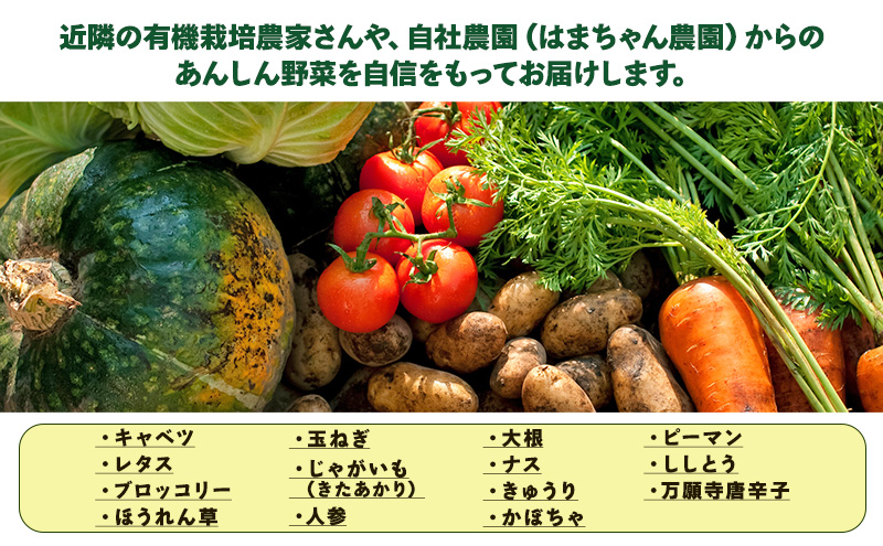 はまちゃん農園・季節のあんしん野菜 6品目セット | 三重県 津市産 こだわり野菜