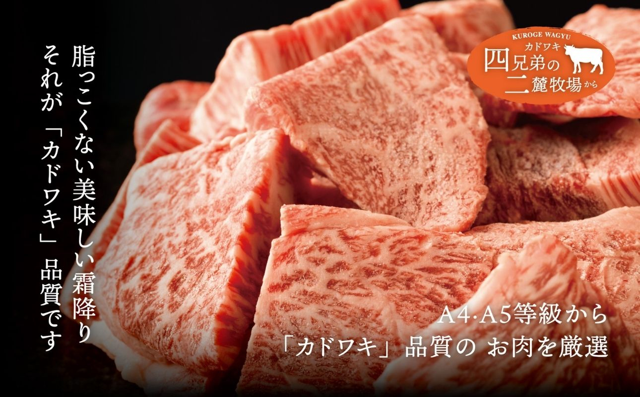 A4A5ãäºéºïŒã«ããïŒééãã黿¯åçïŒå€§å€ïŒã²ãšãã¡ã¹ããŒã 500gïŒ250gÃ2ïŒ ãã»ã³é£å³°ãšéŽé¹¿å±±èãäºã€ã®éºïŒãµããšïŒã§è²ãŠãèã®è³ªã«ãã ãã£ãçŸå³ããééãããªãŒãºããã«ã«âçè åœç£ç ãã©ã³ãç å·å䟿 幎æ«å¹Žå§ ãæ£æ çŒè BBQ äžéç 忥åžåž ãµãããšçŽçš