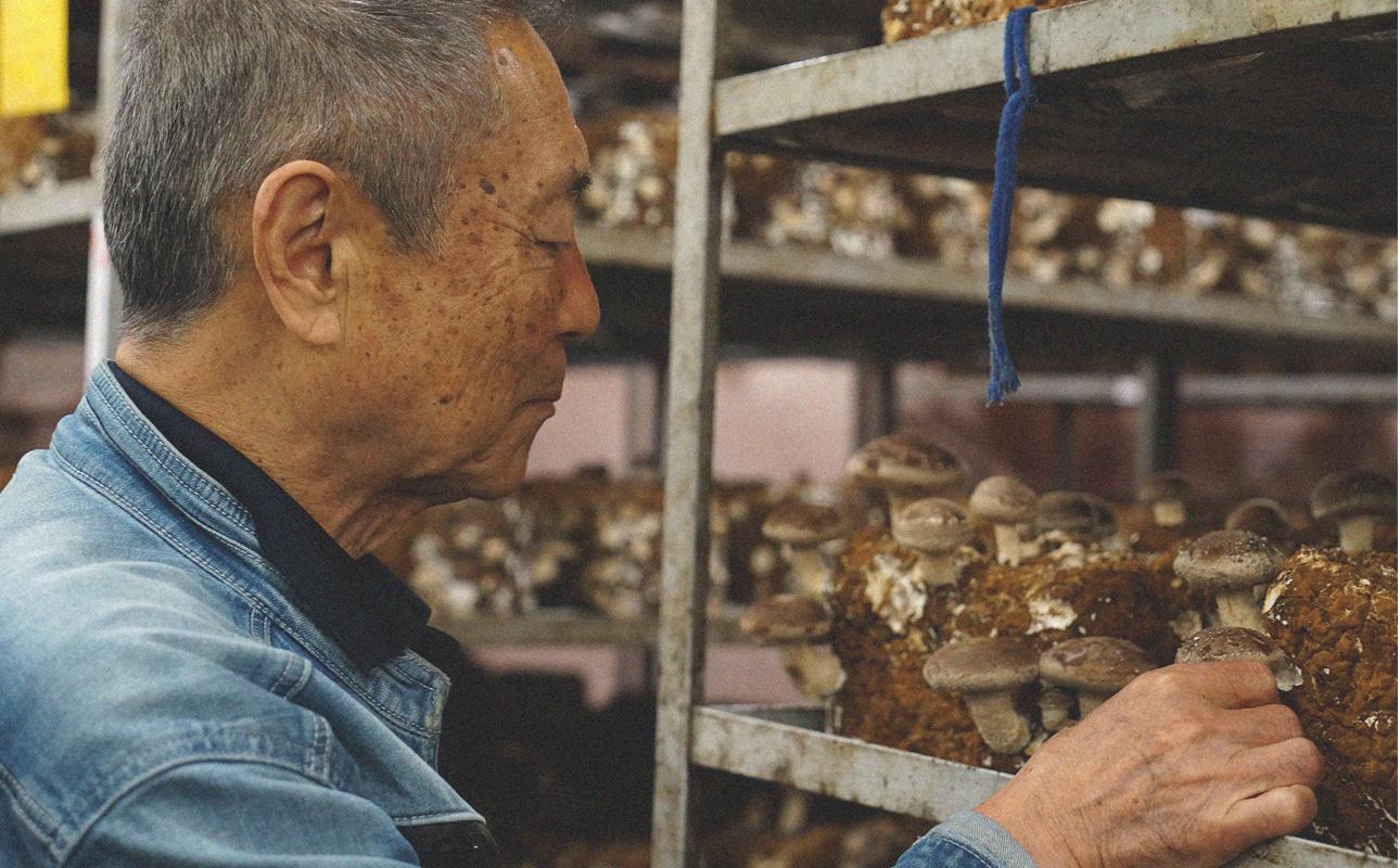 四日市認定地場特産品【泗水十貨店（しすいじっかてん）】ゴロゴロ椎茸入りあおさのり佃煮（180ｇ×２瓶）手提げ袋付き