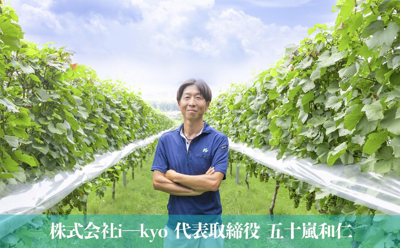 水沢（すいざわ）ワイン 日本有数のかぶせ茶の特産地で生まれた美味しい白ワイン。CUVEE MOMIJI （キュベ モミジ）シャルドネ(2025) 750ml（限定22本お早めに）【ワイン 水沢 水沢ワイン 国産 Made in Japan 白ワイン 白 シャルドネ 辛口 日本ワイン 三重県産 地場産品 贈り物 ギフト プレゼント お祝い 記念日 誕生日 お取り寄せ 三重県 四日市市 ふるさと納税】
