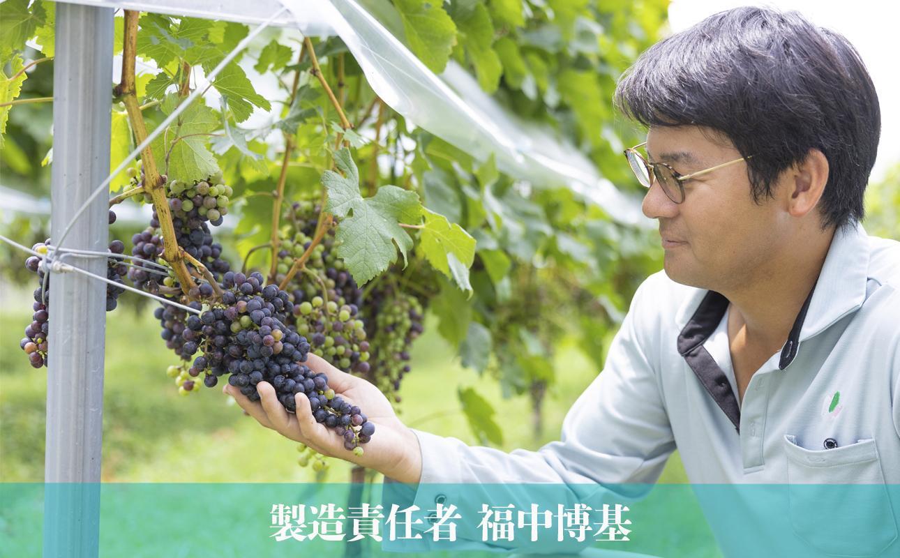 水沢（すいざわ）ワイン 日本有数のかぶせ茶の特産地で生まれた美味しい白ワイン。CUVEE MOMIJI （キュベ モミジ）シャルドネ(2025) 750ml（限定22本お早めに）【ワイン 水沢 水沢ワイン 国産 Made in Japan 白ワイン 白 シャルドネ 辛口 日本ワイン 三重県産 地場産品 贈り物 ギフト プレゼント お祝い 記念日 誕生日 お取り寄せ 三重県 四日市市 ふるさと納税】