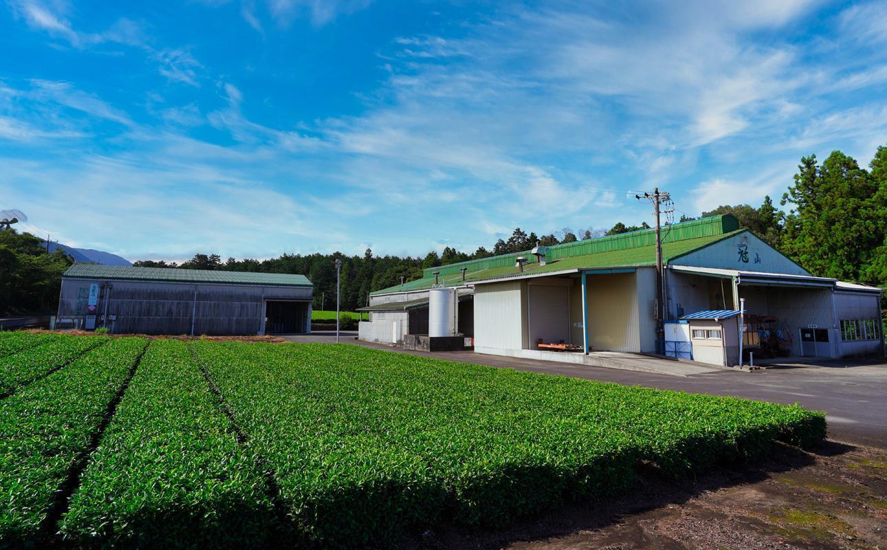 かぶせ茶 粉末緑茶 4パック 粉末緑茶という新提案 抹茶・抹茶ラテと変わらない美味しさを手軽でリーズナブルに  創業130年を超える老舗 豊田宗平商店 【抹茶パウダー  抹茶スイーツ 抹茶ラテ  粉末茶レシピ 老舗  三重県茶 四日市市】