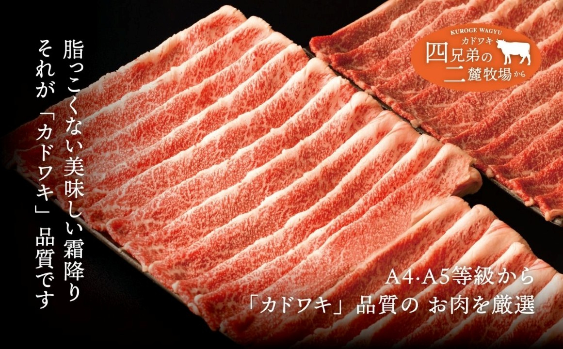 A4･A5「二麓（にろく）霜降り」黒毛和牛（大判）切り落とし 1kg（250g×4）　ニセコ連峰と鈴鹿山脈、二つの麓（ふもと）で育てた脂の質にこだわった美味しい霜降りをリーズナブルに│牛肉 国産牛 ブランド牛 冷凍便 大容量 年末年始 お正月 焼肉 しゃぶしゃぶ すき焼き 三重県 四日市市 ふるさと納税