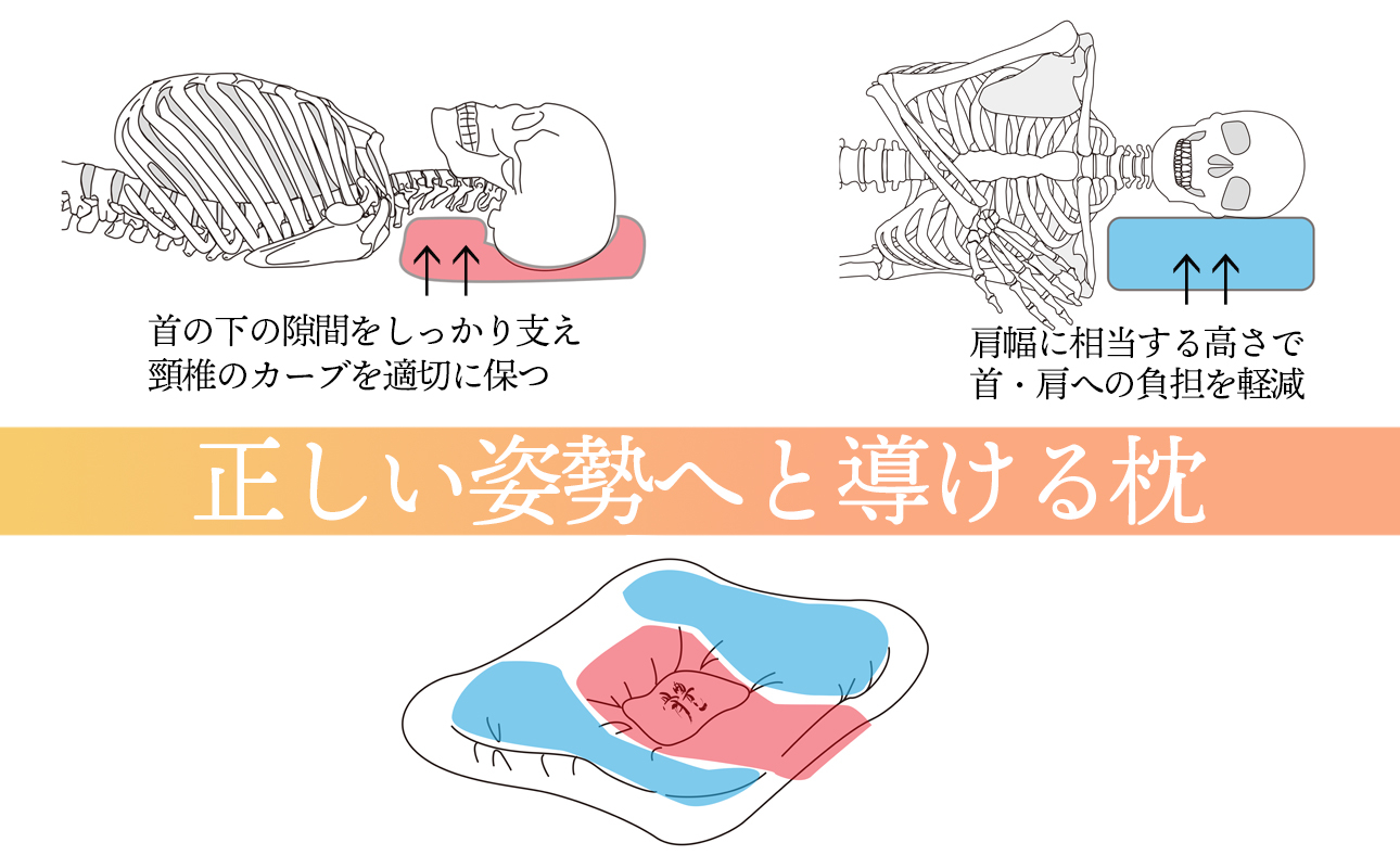 嵿¥1926幎 çŸå¹Žã®äŒçµ±ãæã€åéæŽäœé¢ã»ä»²éæŽé«ïŒãªãã®ããããïŒãäœãäžããçæ³ã®å¯å§¿å¢ãã€ããæâæ ãŸãã ã¹ãã¬ãŒããã㯠暪åã å§¿å¢ç¯æ£ å§¿å¢ãè¯ããªã å¯å
· ç¡ç ã®è³ªåäž è©ãã éŠãã ãã©ã€ã³ã¢ ãªãªãžãã« æŽäœ ã«ã€ããã©ã¯ãã£ã㯠äžéç 忥åžåž
