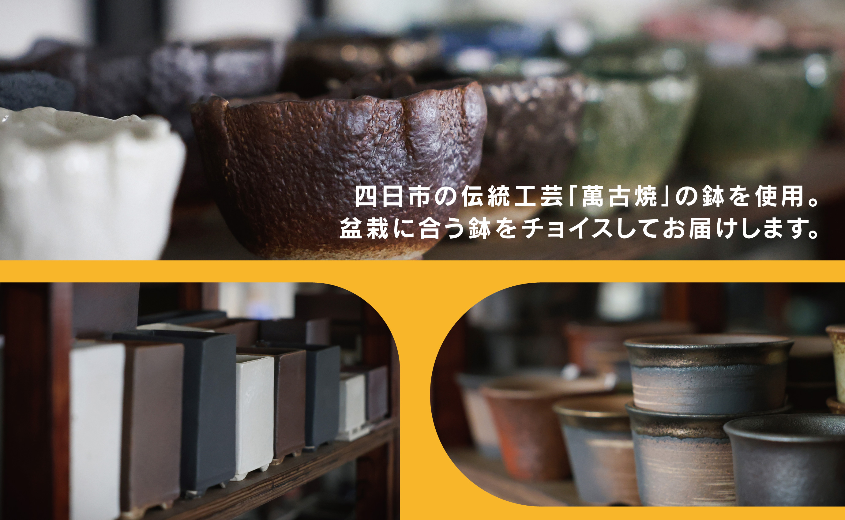 「デスクトップ盆栽」という新提案を四日市から（ミニチュアなし）