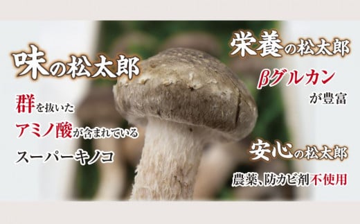 æŸå€ªéã®ããïŒçè©°ãåããïŒãå€å£å·èµäŸ¿å¯Ÿå¿ã