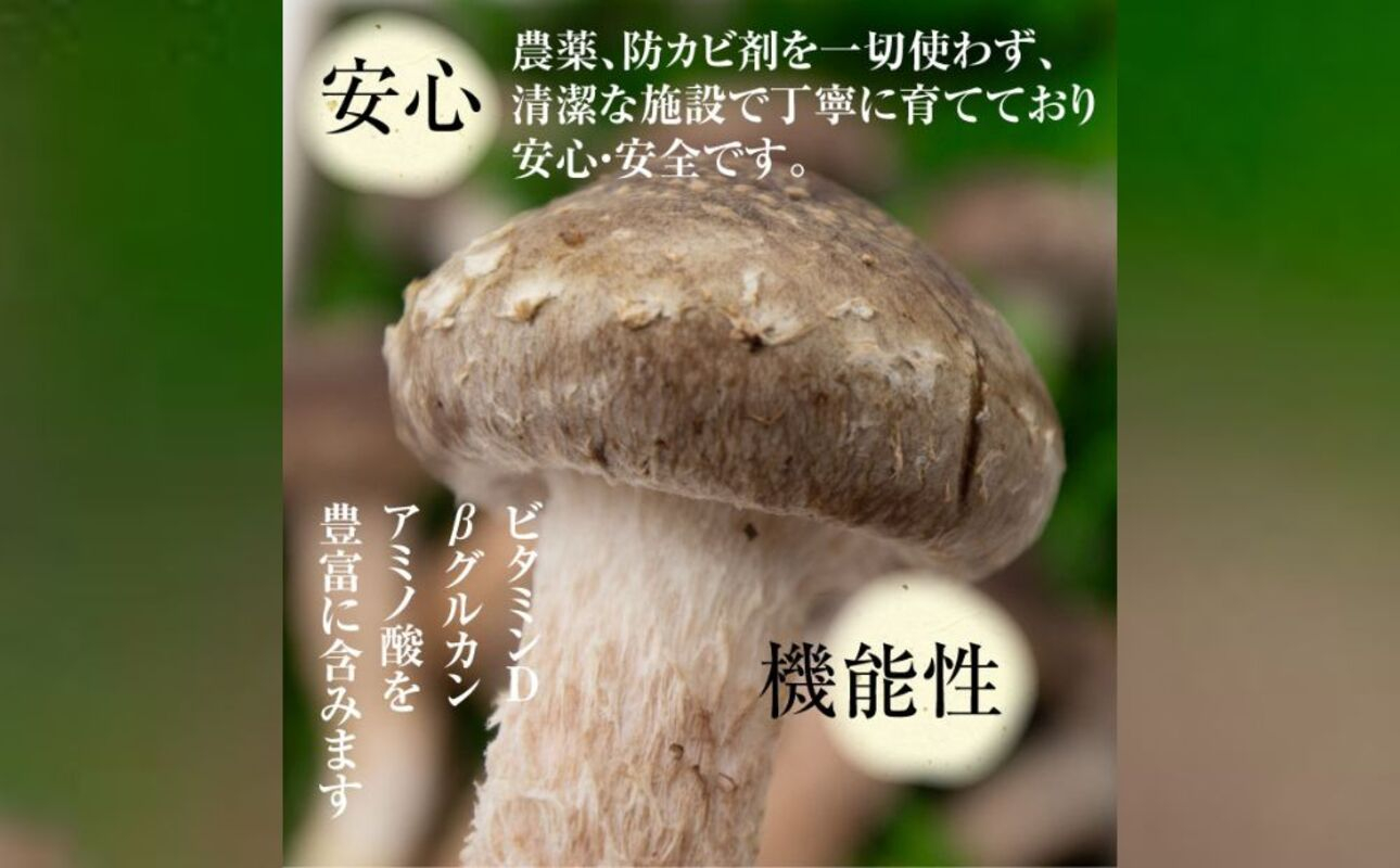 æŸå€ªéãšæŸå€ªéãžã£ãŒããŒè©°ãåãããå€å£å·èµäŸ¿å¯Ÿå¿ã
