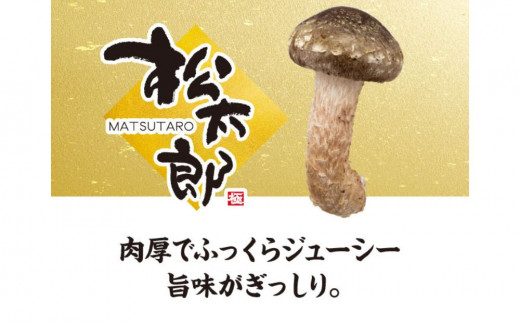 æŸå€ªéãšæŸå€ªéãžã£ãŒããŒè©°ãåãããå€å£å·èµäŸ¿å¯Ÿå¿ã