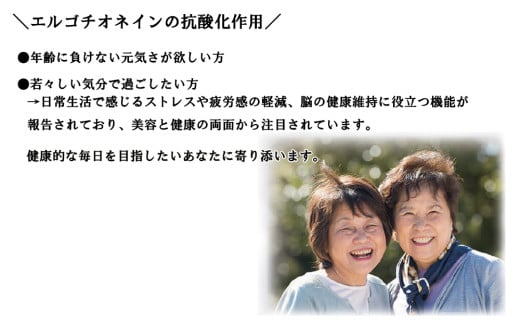 スーパーシータラクト　1箱 90カプセル入り 株式会社ＩＮＳ|サプリメント 健康 健康食品  ケア 免疫 ビタミン 関節 腰 乳酸菌 三重県 四日市市 四日市 ふるさと納税