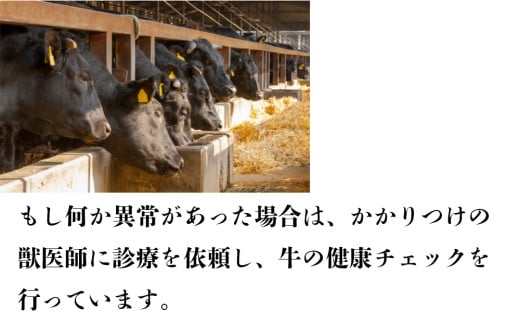 伊勢水沢牛（いせすいざわぎゅう）レトルトカレー 6個入り　三重畜産【国産牛 牛肉 牛 お肉 肉 カレー ビーフカレー 三重県 四日市市】