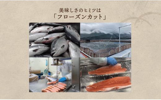 鮭 切り身  約1.5kg 骨抜き 高級粕漬を生産する老舗ブランド水鮮がつくる無添加 「水鮮銀鮭」無添加 厚切 切り身 切身 厚切り さけ 鮭 シャケ 銀鮭 銀さけ 銀サケ 海鮮 おかず 弁当 レシピ 冷凍 家庭用 簡単調理 便利 小分け 和食 洋食 切り落とし 切り落し 切落し 塩鮭 塩さけ 塩サケ 塩シャケ 1.5kg 1.5キロ 定番 大容量 人気 四日市 訳あり 鮭かま 鮭カマ サーモン