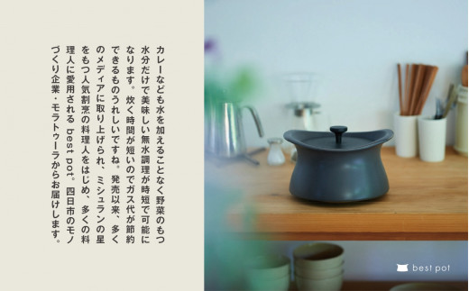 best potシ医吶せ繝医昴ャ繝茨シ会シゥシィ蟇セ蠢懊20cm縲繝悶Λ繝繧ッ