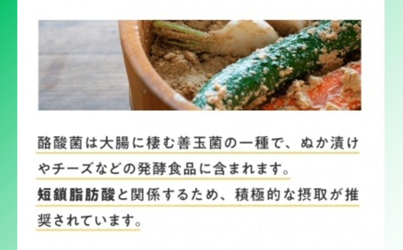 ＜定期便＞サンファイバープラス【スティック】6ｇ×30包 【2箱セット定期便6ヶ月】【発酵性食物繊維 食物繊維 シンバイオティクス 医療 介護 安心 無味無臭 グアーガム分解 四日市市】