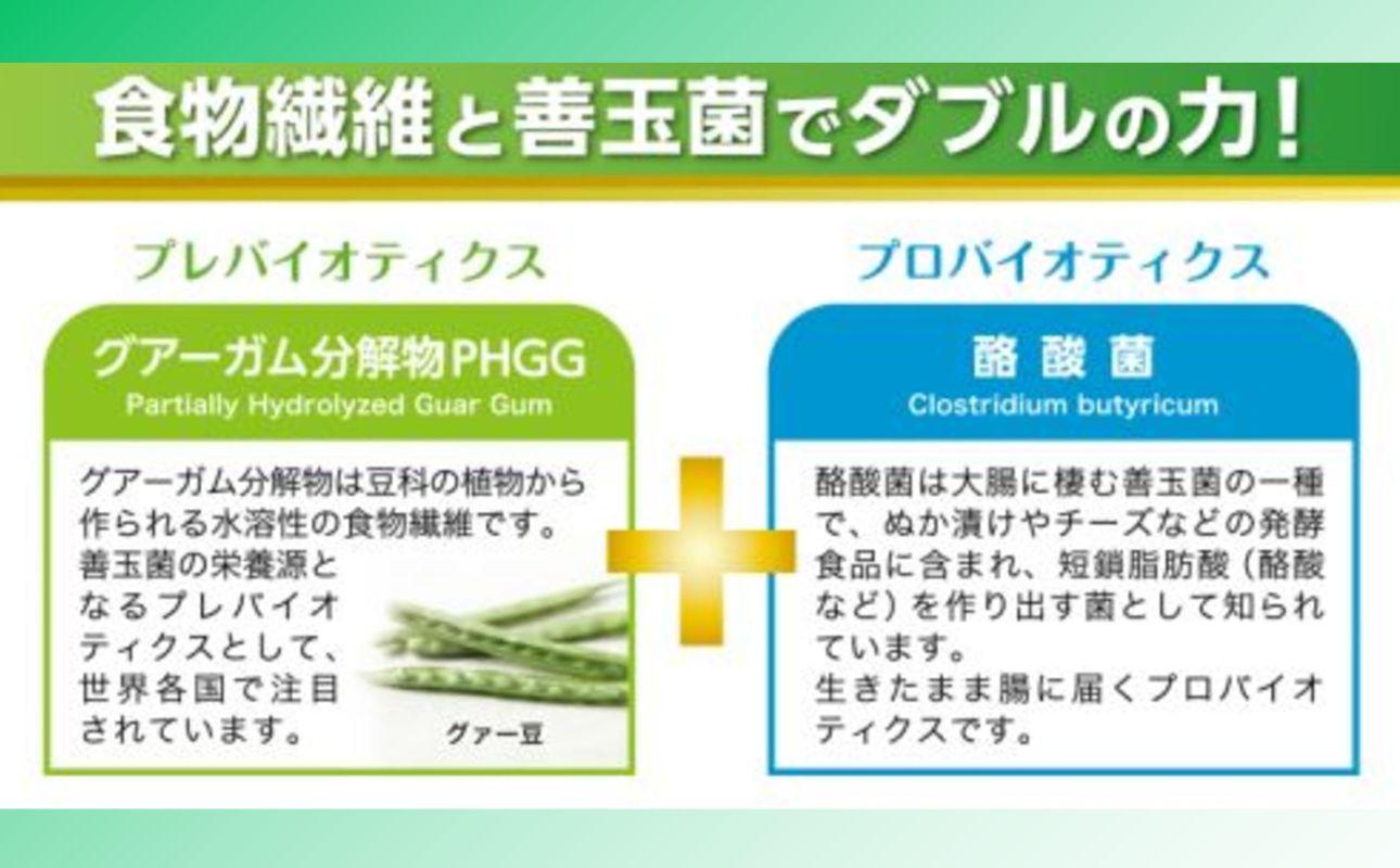 ＜定期便＞サンファイバープラス【スティック】6ｇ×30包 【2箱セット定期便6ヶ月】【発酵性食物繊維 食物繊維 シンバイオティクス 医療 介護 安心 無味無臭 グアーガム分解 四日市市】
