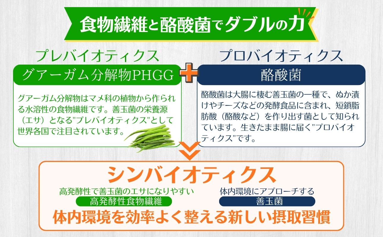 ＜定期便6ヶ月＞TVで話題！ グアーガム分解物 サンファイバープラス（粉末スティック）6g×30包【2箱セット】 │水溶性食物繊維 酪酸菌 医療 介護 シンバイオティクス プレバイオティクス プロバイオティクス 発酵性食物繊維 健康食品 サプリ 個包装 太陽化学 三重県 四日市市 ふるさと納税