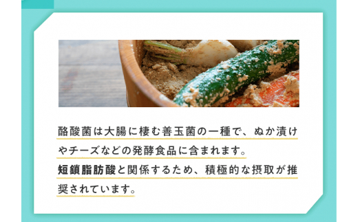 サンファイバープラス【スティック】6ｇ×30包 【2箱セット】【発酵性食物繊維 食物繊維 シンバイオティクス 医療 介護 安心 無味無臭 グアーガム分解 四日市市】