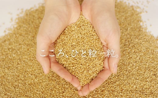 ＜定期便＞創業明治19年　ごま油の老舗「九鬼」　いつもの味を上質に変えるごま油。 九鬼 太白純正胡麻油1650ｇ×2本セット【４回発送】 セット ゴマ油 胡麻油 ごま油 ドレッシング 老舗 まろやか 上質 高品質 上品 1650g 2本セット 大容量 贈り物 ギフト  ミシュラン 2つ星の割烹でも使用