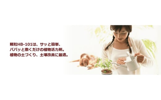 野菜作りや園芸に。プロご用達「HB-101」 500cc 1本