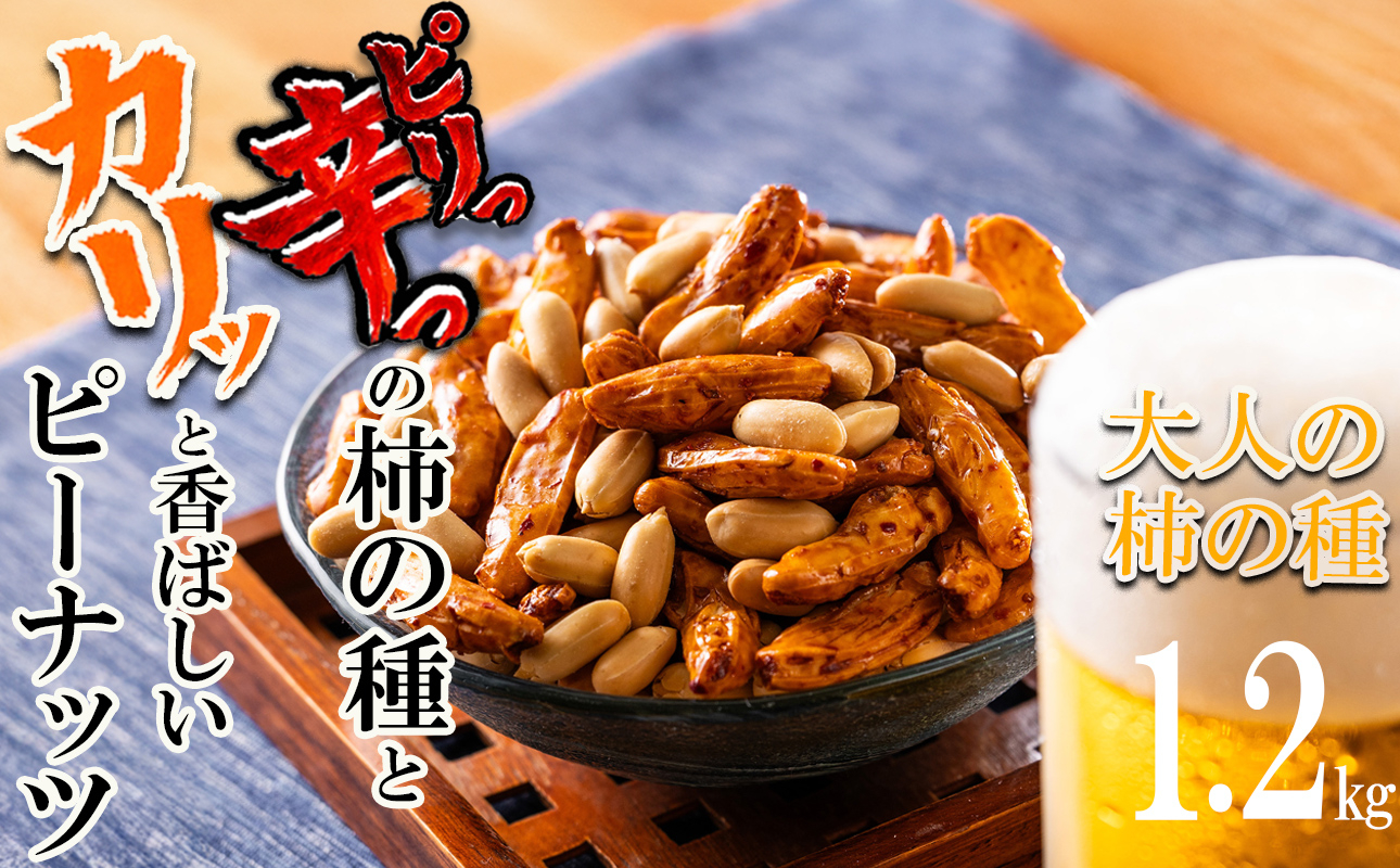 繝薙シ繝ォ縺碁イ繧薙〒繧エ繝。繝ウシ√ヴ繝ェ縺」霎帙▲シ∝、ァ邊呈涸縺ョ遞ョシ繧ォ繝ェ繝縺ィ鬥吶ー縺励¥逕倥∩縺ョ蠑キ縺繝舌ち繝シ繝斐シ繝翫ャ繝縲ょ、ァ莠コ縺ョ譟ソ縺ョ遞ョ 蜈逾門、ァ譟ソ1.2kgシ200gテ6繝代ャ繧ッシ俄狽譟ソ縺ョ遞ョ 縺翫▽縺セ縺ソ 驟偵ョ縺、縺セ縺ソ 譎ゥ驟 繝薙シ繝ォ 荳蛾咲恁 蝗帶律蟶 縺オ繧九&縺ィ邏咲ィ