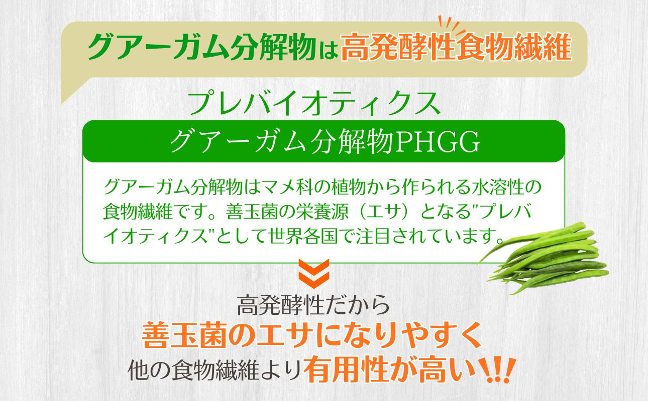 【180gパック】TVで話題！グアーガム分解物 サンファイバー（粉末）│ 水溶性食物繊維 医療 介護 プレバイオティクス 発酵性食物繊維 健康食品 サプリ 個包装 太陽化学 三重県 四日市市 ふるさと納税