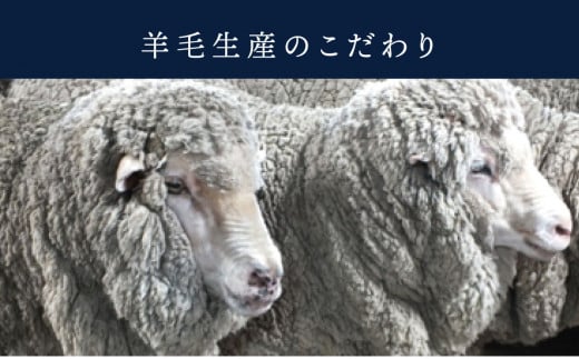 オーダーメイド スーツ 【1着】お仕立て券 御幸毛織【オーダー メンズスーツ オーダースーツ ビジネススーツ 高品質 日本製 高級 三重県 四日市市 四日市市ふるさと納税