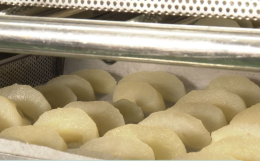 セミドライフルーツ「果のまま」四日市梨　20ｇ