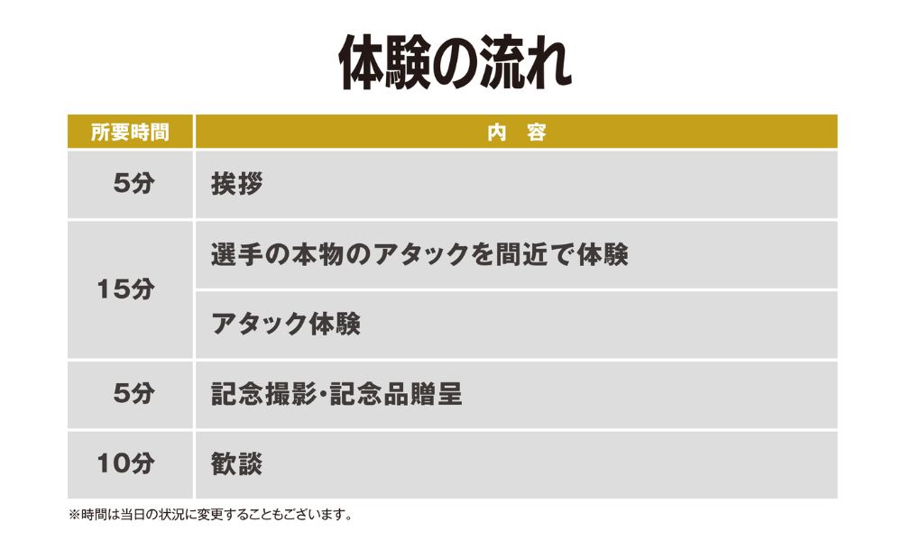 【体験型】ヴィアティン三重のアタック、パールズのタックルのいずれかを受けて体感（ヴィアティン三重ヴァージョン）【先着10名！】【令和7年3月2日（日）開催】