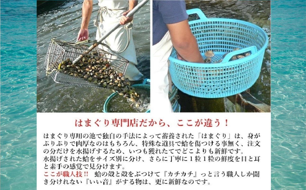 三重県・畜養はまぐり 1kg　ハマグリ　蛤　お吸い物　焼きはまぐり