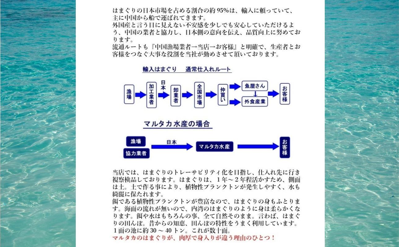 三重県・畜養はまぐり ３kg　ハマグリ　蛤　お吸い物　焼きはまぐり