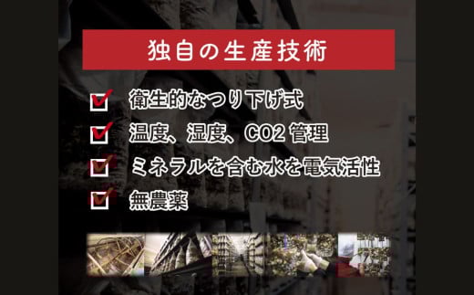 松太郎と松太郎ジャーキー詰め合わせ
