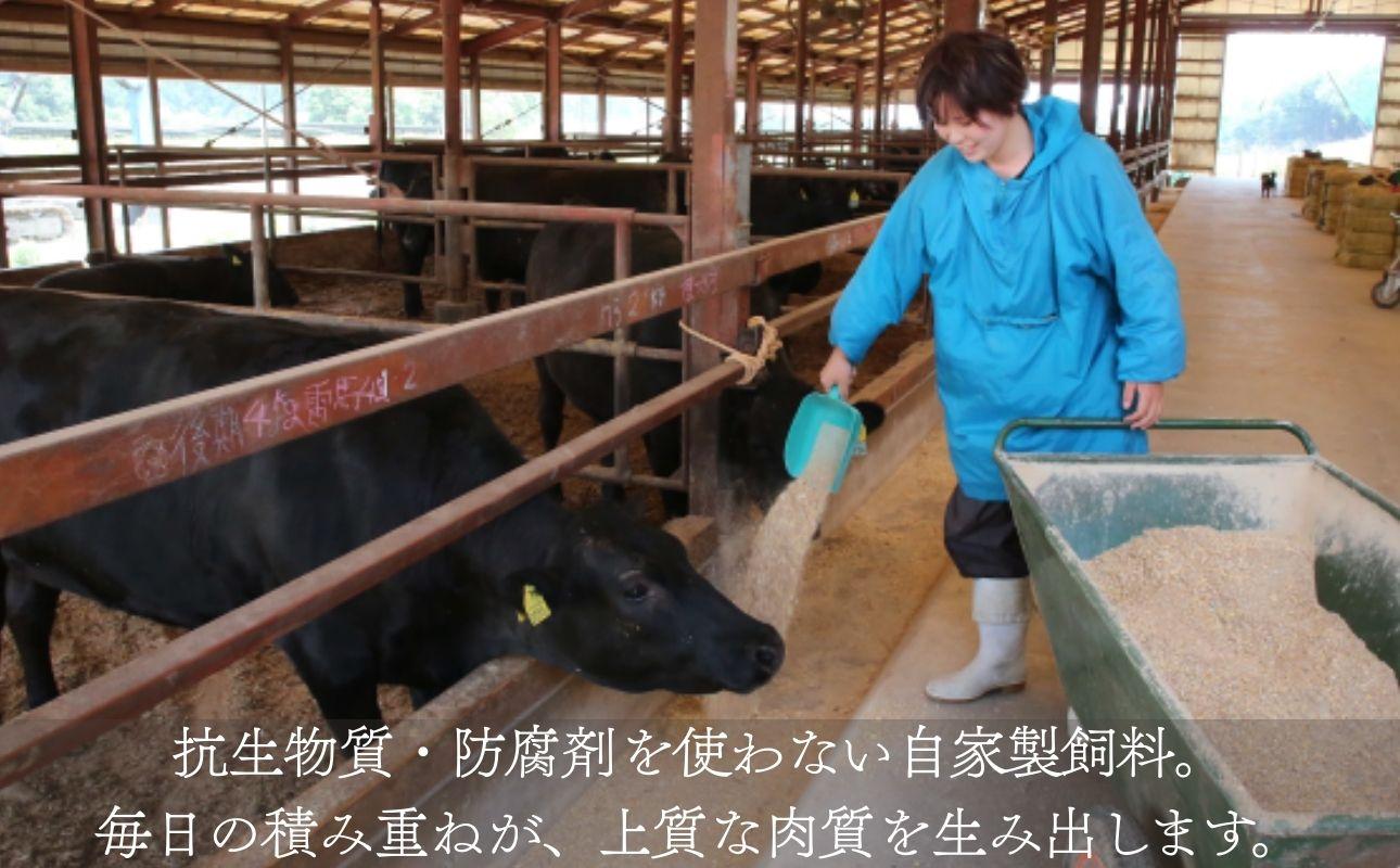 ãäŒå¢æ°Žæ²¢çã 4ïœ5ççŽ ããŒã¹è 1kg ããçŒãçš ããã¶ããã¶çš äžéçç£ é»æ¯åçâ倧容é çè åç ã¹ããŒãè åœç£ å·å A4 A5 ççŽ ééã èåã èšå¿µæ¥ é«çŽ æãã èŽççš ã®ãã ãåãå¯ã äžéçç£ äžéç 忥åžåž ãµãããšçŽçš