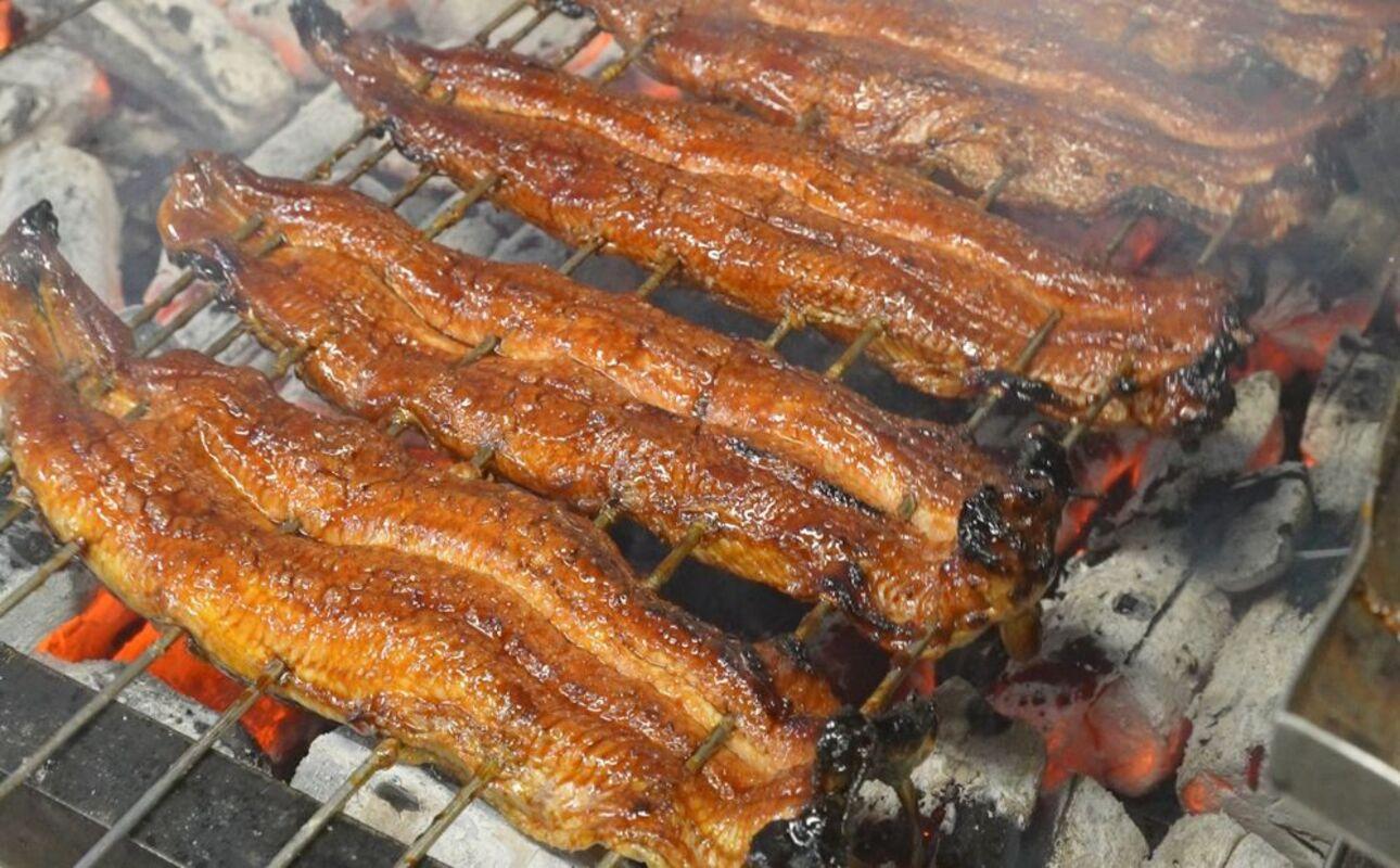 うな勢　うなぎ蒲焼 5本