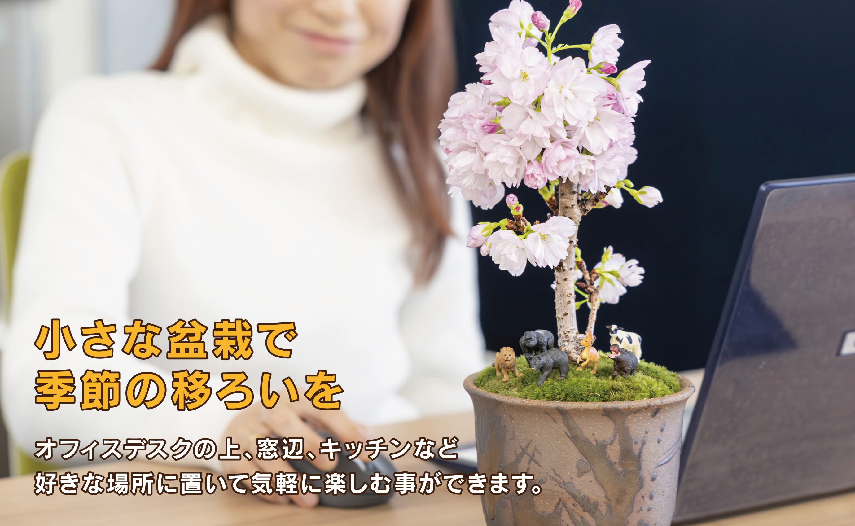 「デスクトップ盆栽」という新提案を四日市から（ミニチュアなし）