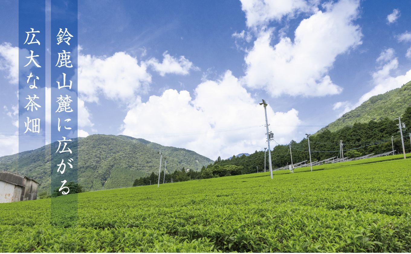 お抹茶　泗翠（30g×4缶セット）萩村製茶【 抹茶 お抹茶 お茶 茶 伊勢茶 茶道 飲料 自分用 家族用 イベント用 ギフト プレゼント 贈答 贈答用 三重県 三重 四日市市 四日市 四日市市ふるさと納税 四日市ふるさと納税】