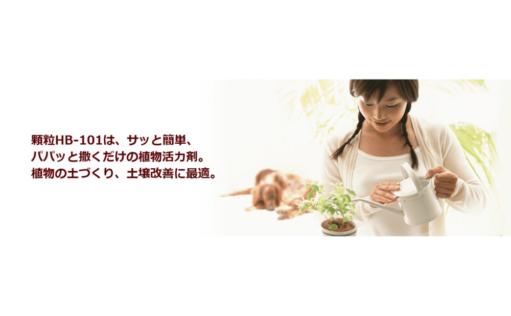 植物の土づくり、土壌改良に「顆粒HB-101」 1kg 1パック