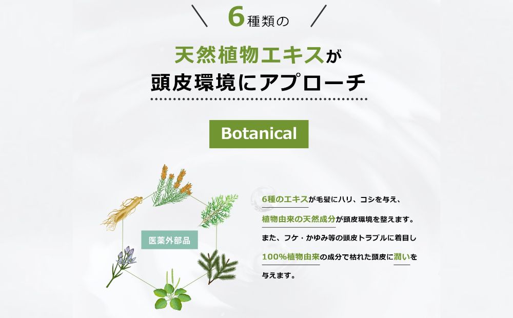 植物性の育毛剤「HG-101」 150cc 1本