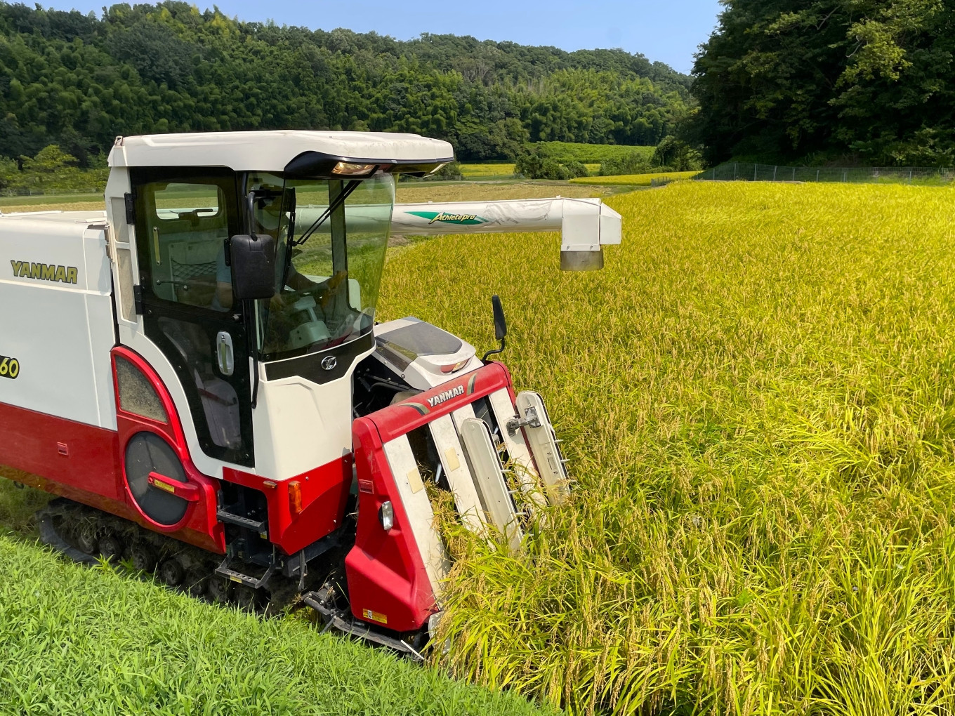 ＜定期便＞新米 きぬひかり 10kg 鈴鹿山麓の銘水が育てた米、米どころ三重県産小山田地区「きぬひかり」10kg【12ヶ月】