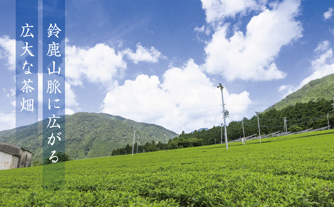 【ふるさと納税限定】皇室献上抹茶とメディアで話題の生クリーム大福のふるさと納税限定コラボ。抹茶モンブラン大福　９個入 【大福、モンブラン、栗、抹茶、生クリーム、クリーム、スイーツ、贅沢、ご褒美スイーツ、おいしい、なめらか、もちもち、老舗、富貴堂、和菓子、洋菓子、和洋、デザート、高級、上質、贈り物、ギフト、三重県、四日市市、ふるさと納税】