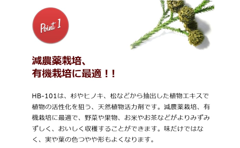 植物の土づくり、土壌改良に「顆粒HB-101」 1kg 1パック