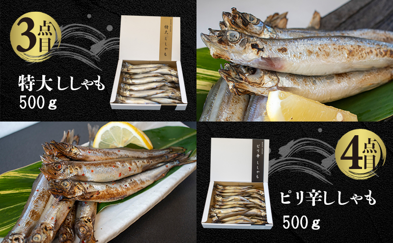 国内加工 水産物詰め合わせ 4点セット（切れてる鯖・切れてる赤魚・特大ししゃも・ピリ辛ししゃも）