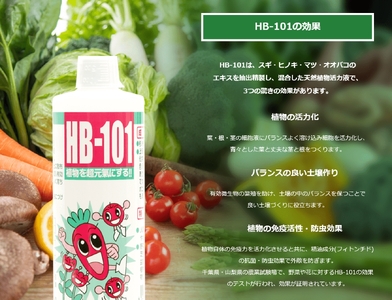 野菜作りや園芸に。プロご用達「HB-101」 100cc 1本